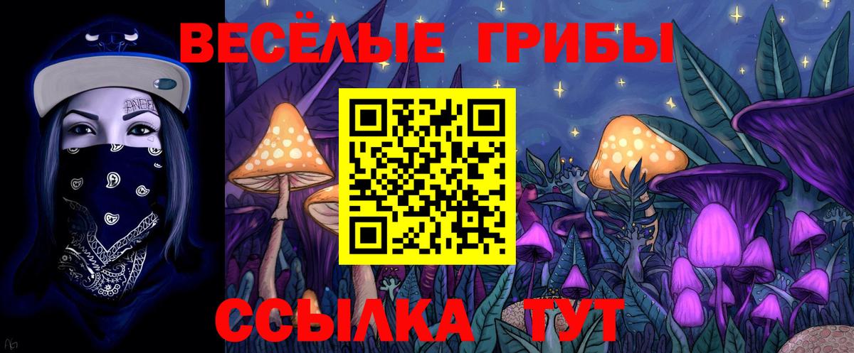 Галлюциногенные грибы Cubensis Сорочинск