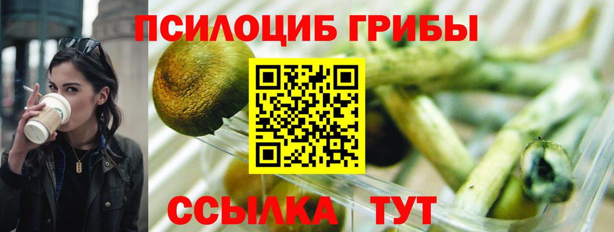 Галлюциногенные грибы Psilocybe  Вход с VPN  Псилоцибиновые грибы мицелий  Сорочинск 